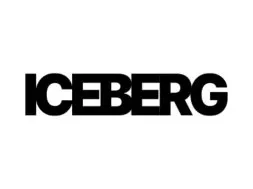 Iceberg