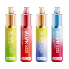 Box of 10 Feoba Big Bar 6000 Puffs Vape Kit