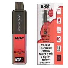 Bash Echo Pro 10000 Puffs Prefilled Pod Kit | Only £7.99 | Any 2 for £12