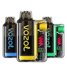 Box of 10 Vozol Vista Plug 10000 Puffs