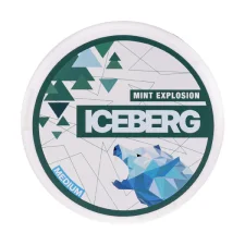 Mint Explosion Nicotine Pouches