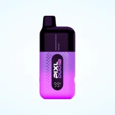 Box of 5 / Box of 10 Pixl Duo 12 6000 Puffs Vape Kit