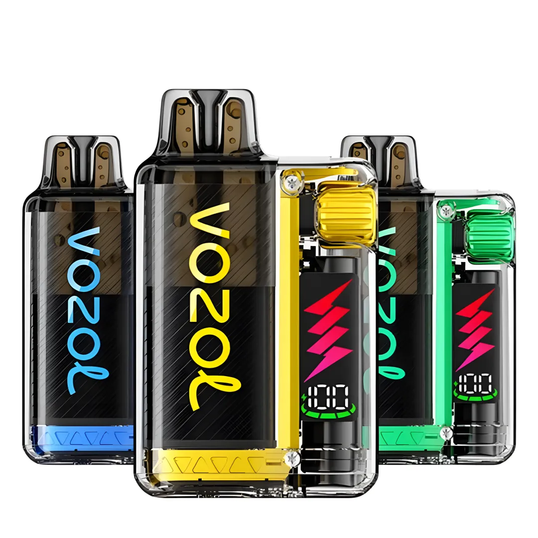 Box of 10 Vozol Vista Plug 10000 Puffs