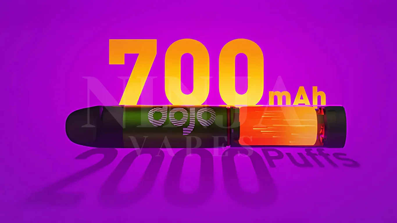 700mAh Battery