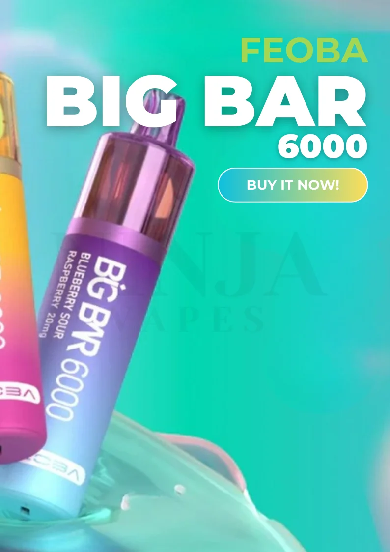 Feoba Big Bar 6000 Puffs Disposable Vape