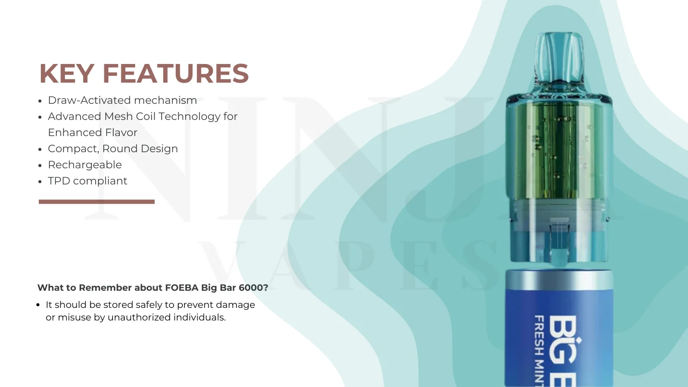 Feoba Big Bar 6000 Puffs Disposable Vape Key Features