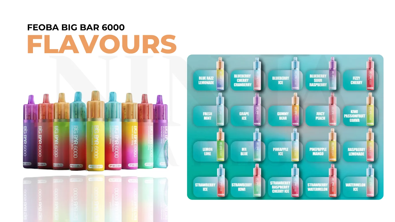 Feoba Big Bar 6000 Puffs Disposable Vape Flavours