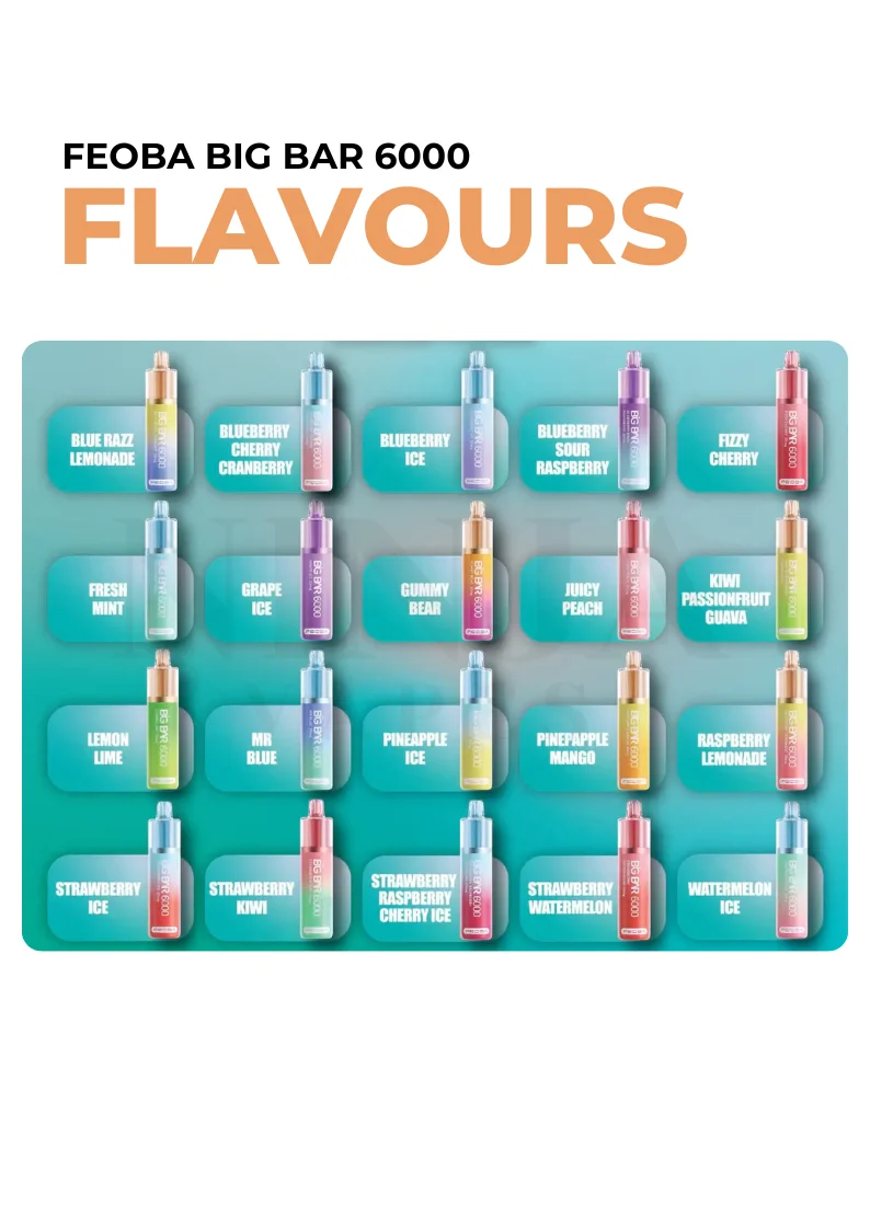 Feoba Big Bar 6000 Puffs Disposable Vape Flavours