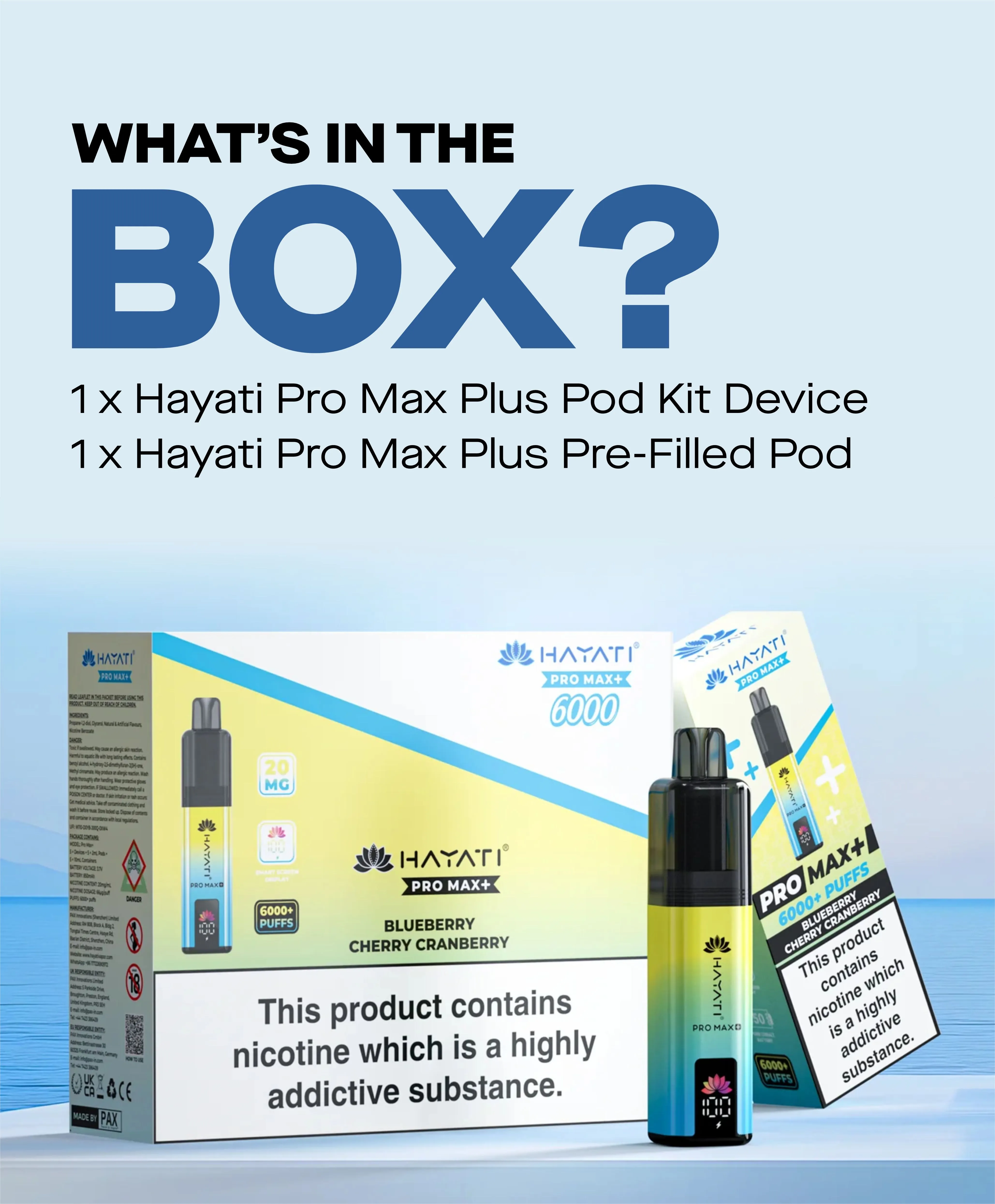 Whats in the Box